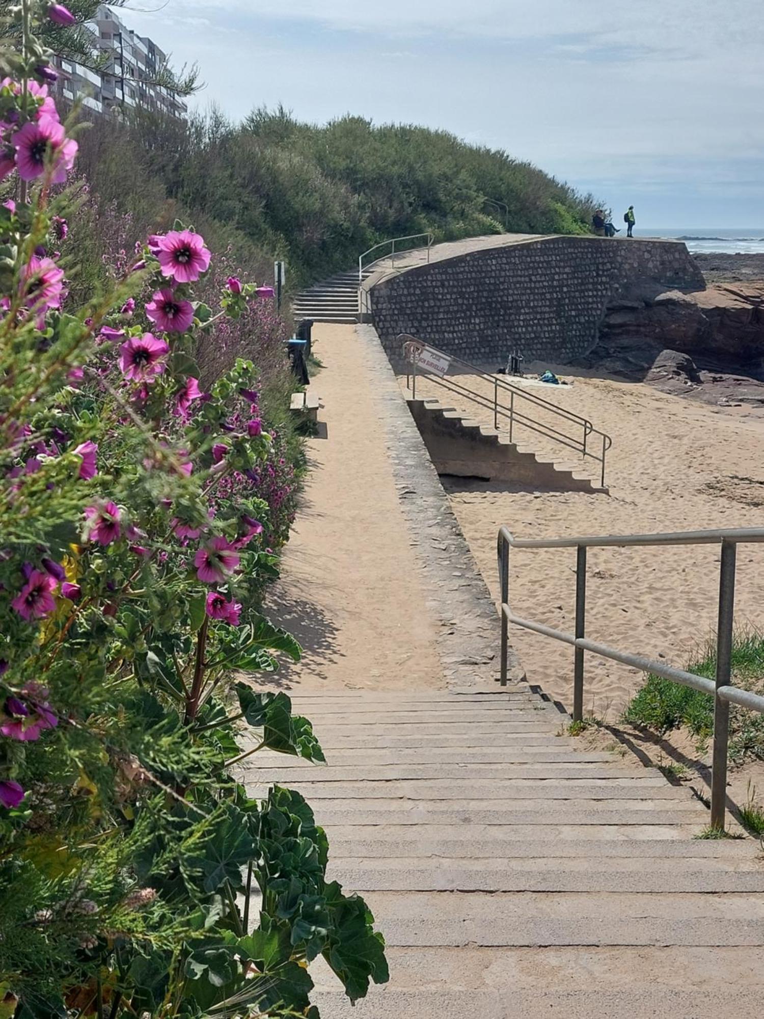 Studio La Salicorne Au Sables D'Olonne Les Sables-dʼOlonne Buitenkant foto
